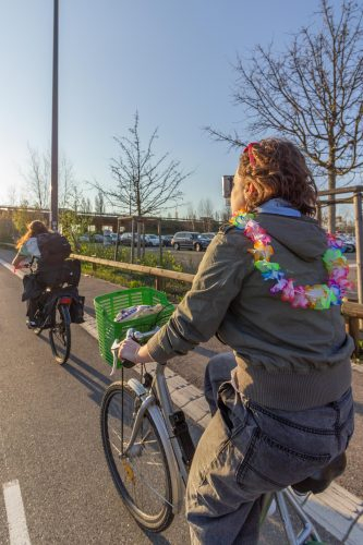 19032026-IMG 8371