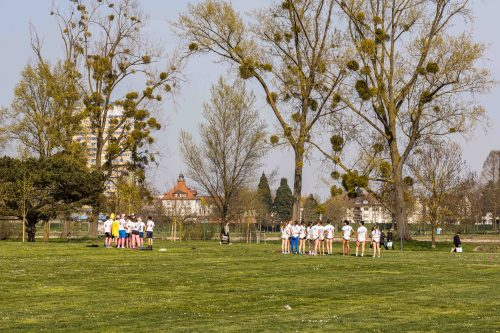INSAs-Cup-2026-21 03 2026-8868